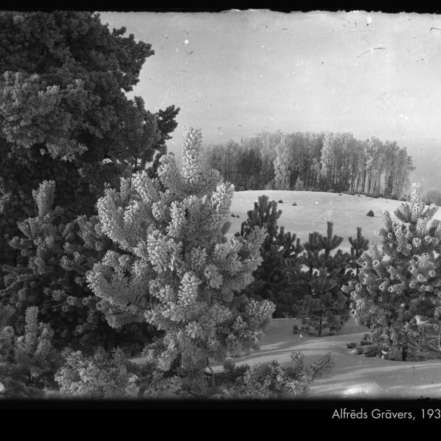 Iegādājies Ziemassvētku kartītes ar fotogrāfijām no muzeja krājuma