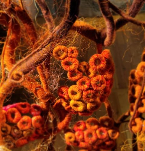 Ieskats mākslinieku Vijas Jansones un Kaspara Lielgalvja tekstilmākslas un analogās fotogrāfijas darbu izstāde “Uzkāpt kalnā”.