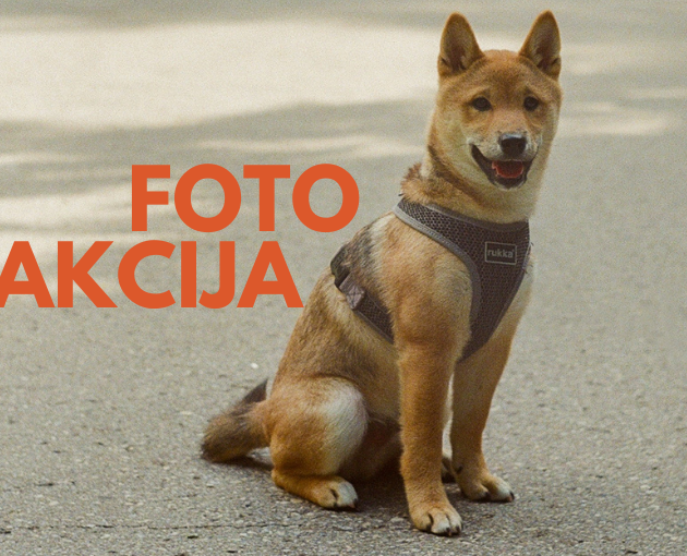 Digitālo attēlu fotoakcijā „Mans dzīvnieks – mājas mīlulis” muzejs aicina piedalīties ikvienu