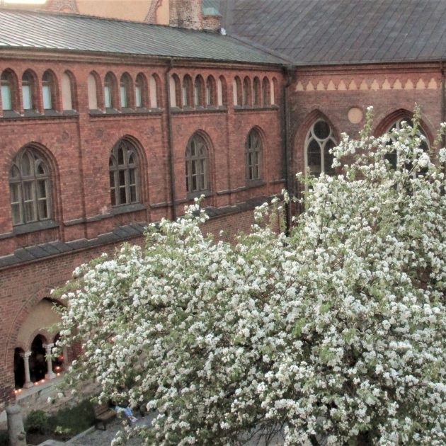 Muzeja darba laiks maija svētkos un vasaras sezonā