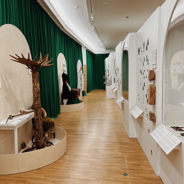 Svētdienas ekskursija ar autorēm izstādē “Dzīvnieki Rīgā. Lietot un lolot?” – 26. janvārī